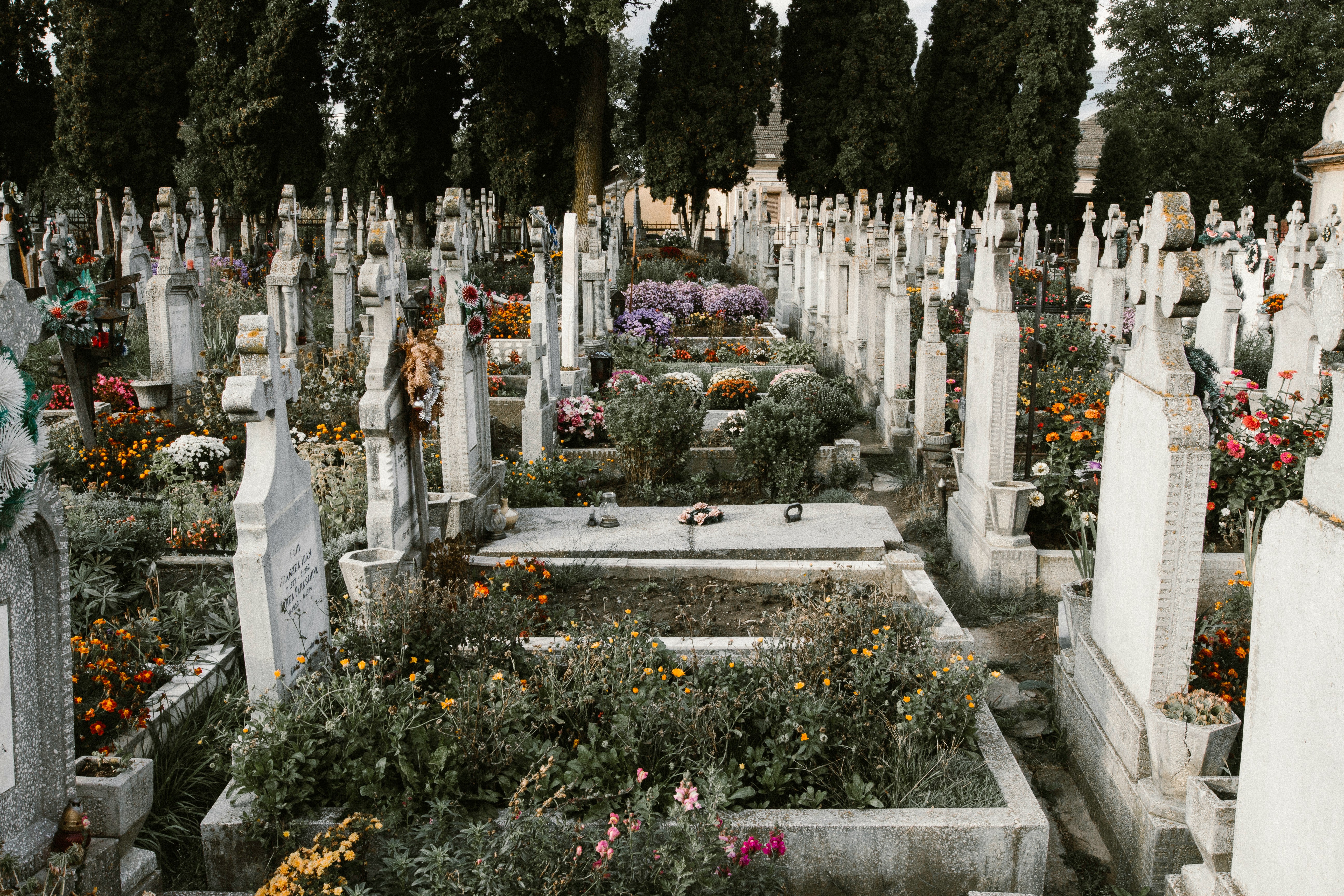 Ein großer Friedhof mit gepflegten und mit Blumen geschmückten Gräbern.