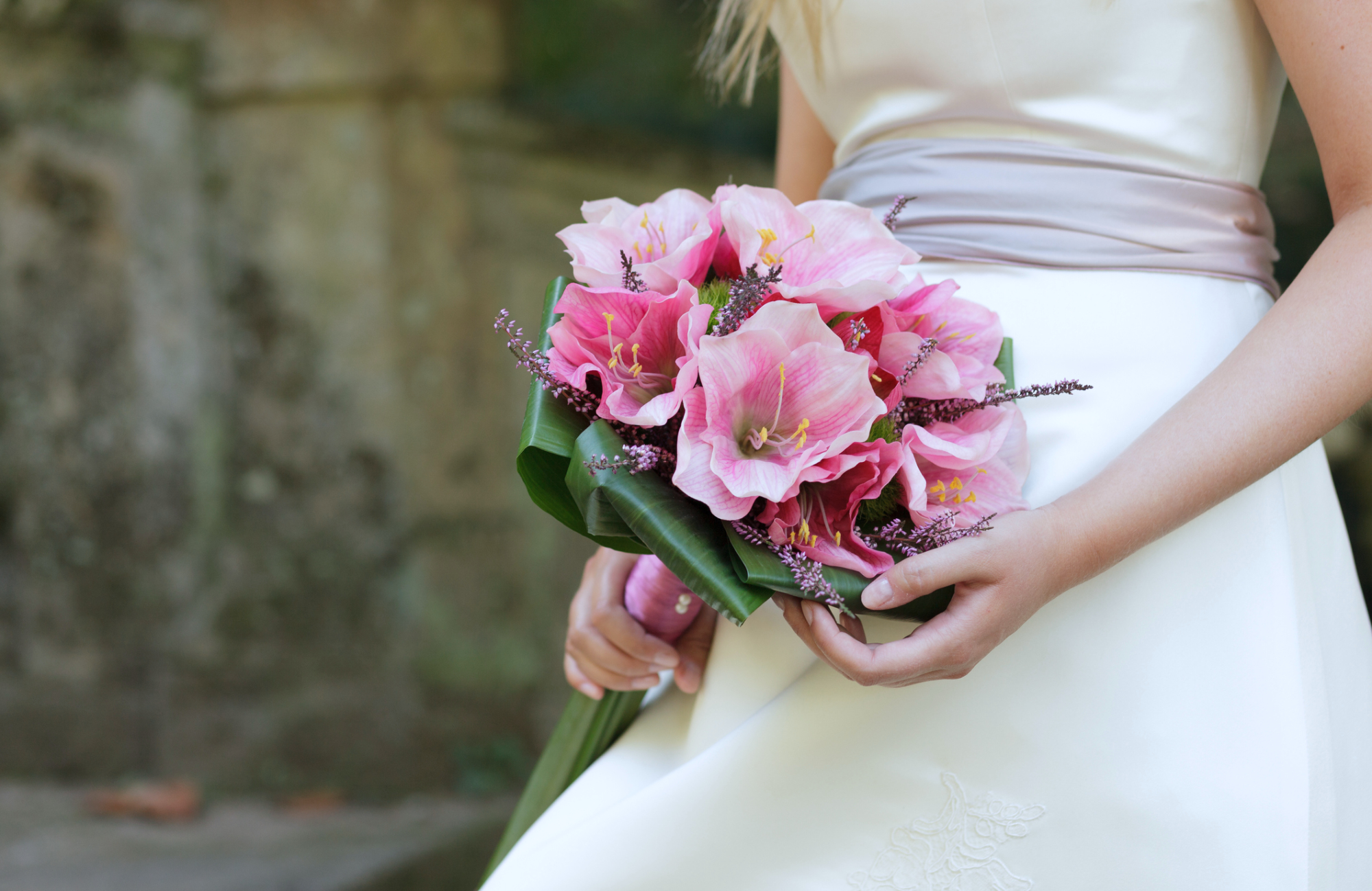 Saison-Guide für Blumen zur Hochzeit Amaryllis