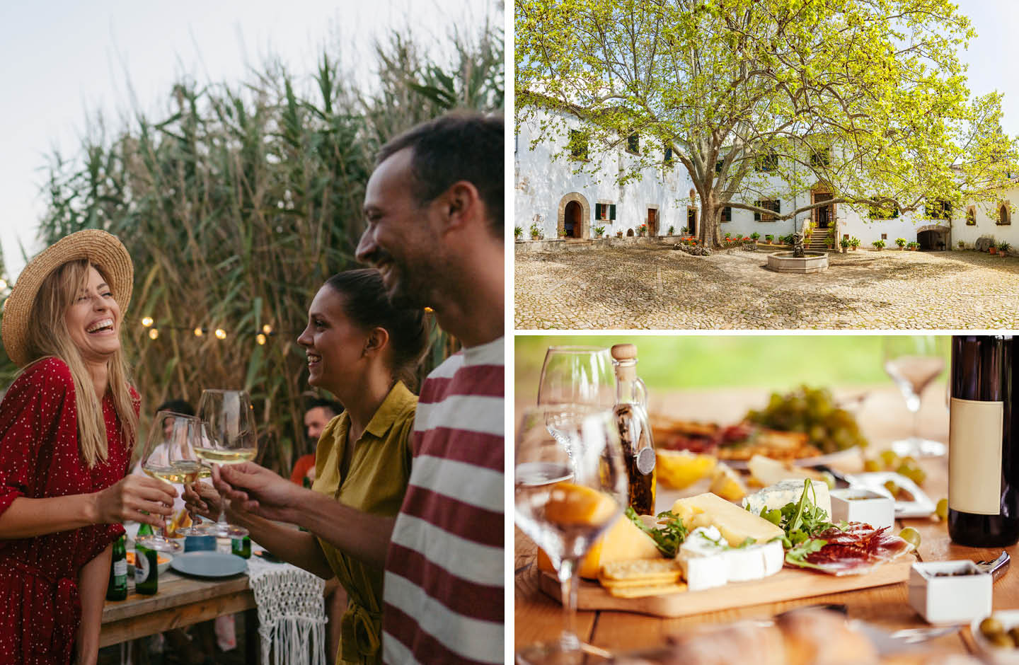 Hochzeitsparty Draußen und Picknick