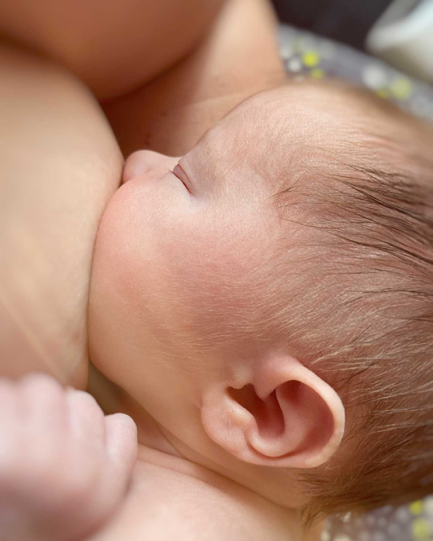 Baby saugt mit geschlossenen Augen an der Brust der Mutter